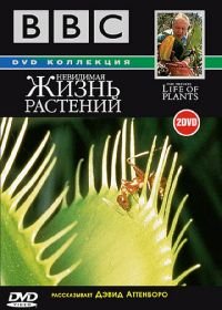 BBC: Невидимая жизнь растений (1995) The Private Life of Plants