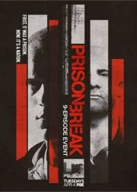 Побег: Продолжение (2017) Prison Break: Sequel