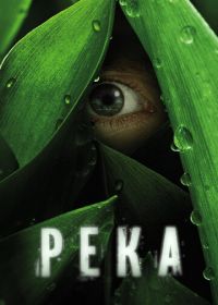 Река (2012) The River