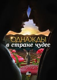 Однажды в стране чудес (2013) Once Upon a Time in Wonderland