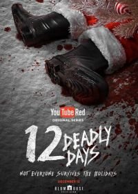 12 смертельных дней (2016) 12 Deadly Days