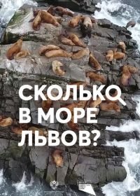 Сколько в море львов? (2018)