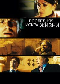 Последняя искра жизни (2011) La chispa de la vida