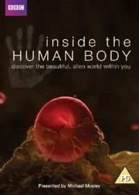 Внутри человеческого тела (2011) Inside the Human Body