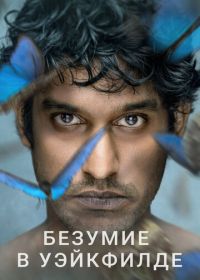 Безумие в Уэйкфилде (2021) Wakefield