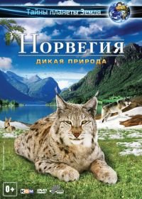 Норвегия 3D: Дикая природа (2013) Norway 3D