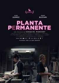 Столовая (2019) Planta permanente