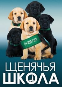 Щенячья школа (2018) Pick of the Litter