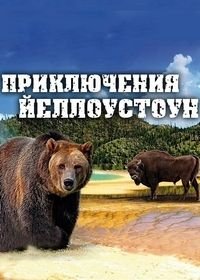 Приключения Йеллоустоун (2013) Adventure Yellowstone