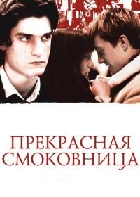 Прекрасная смоковница (2008) La belle personne