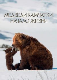 Медведи Камчатки. Начало жизни (2018)