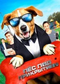 Пес под прикрытием (2019) Agent Toby Barks