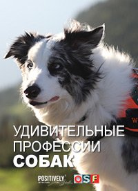 Удивительные профессии собак (2019) Dogs with Extraordinary Jobs