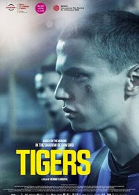 Тигры (2020) Tigers