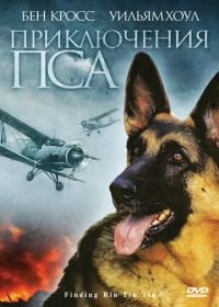 Приключения пса (2007) Finding Rin Tin Tin