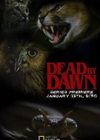 Дожить до рассвета (2019) Dead by Dawn