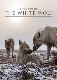 Королевство белого волка (2019) Kingdom of The White Wolf