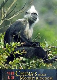 Тайное обезьянье царство в Китае (2020) China's Secret Monkey Kingdom