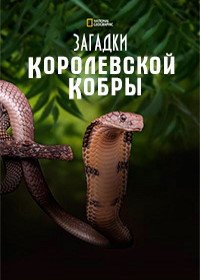 Загадки королевской кобры (2009) Secrets of the King Cobra