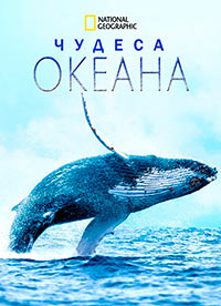 Чудеса океана (2019) Wonders of the Ocean