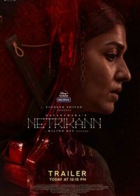 Третий глаз (2021) Netrikann