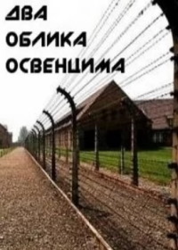 Два облика Освенцима (2011)