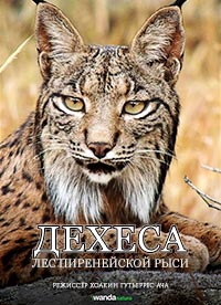 Дехеса: Лес пиренейской рыси (2020) Dehesa, el bosque del lince ibérico