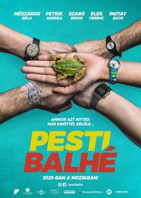 Ограбление в Будапеште (2020) Pesti balhé