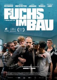 Лис в норе (2020) Fuchs im Bau