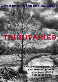 Притоки (2021) Tributaries