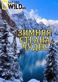 National Geographic. Зимняя страна чудес (2014) Winter Wonderland