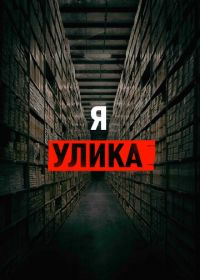 Я - улика (2017) I Am Evidence