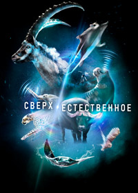 Сверх/Естественное (2022) Super/Natural