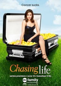 Погоня за жизнью (2014) Chasing Life