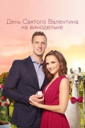 День Святого Валентина на винодельне / Valentine in the Vineyard (2019)